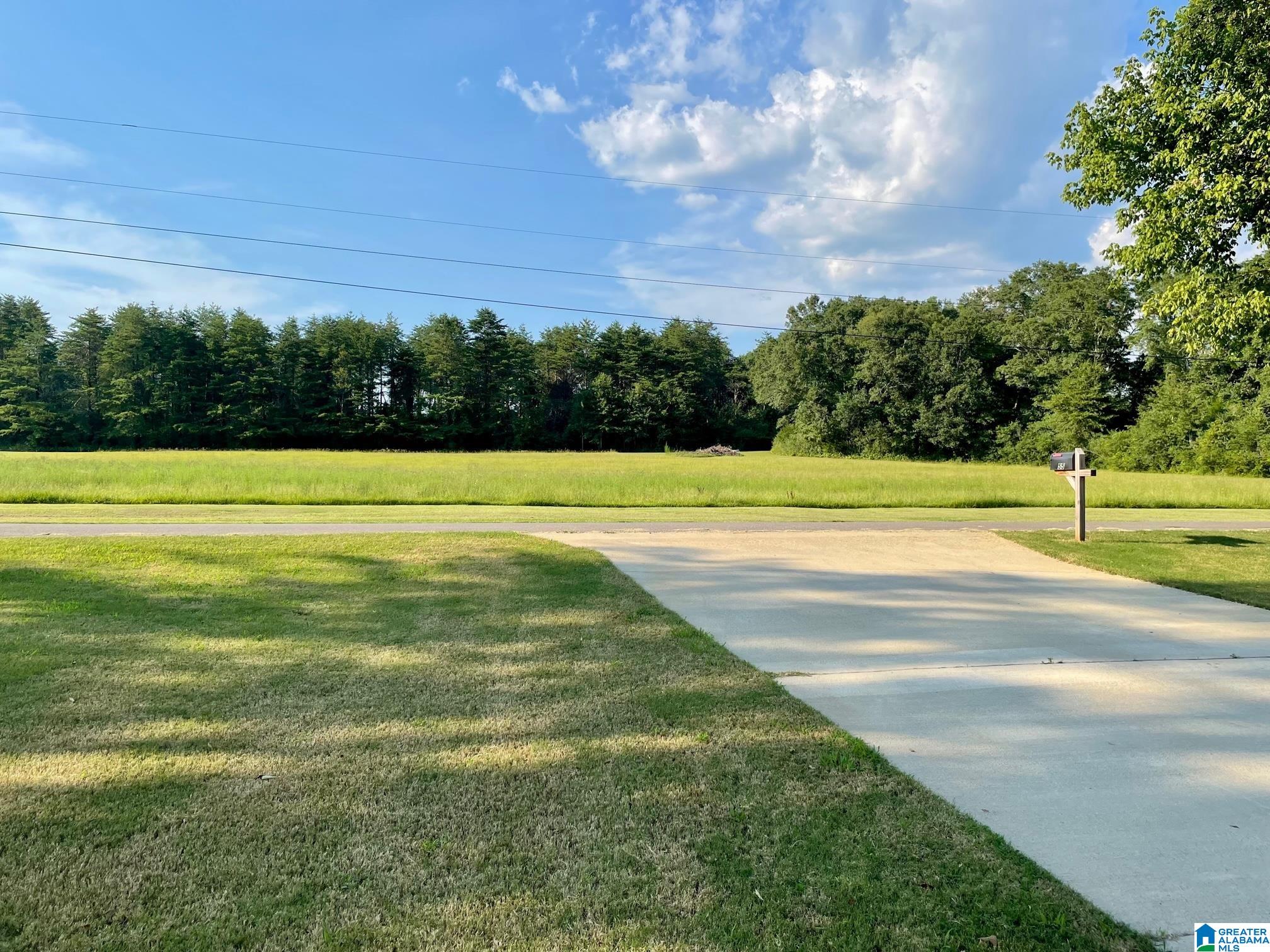 55 Henderson Road Lincoln, AL 35096 - Photo 36 of 39