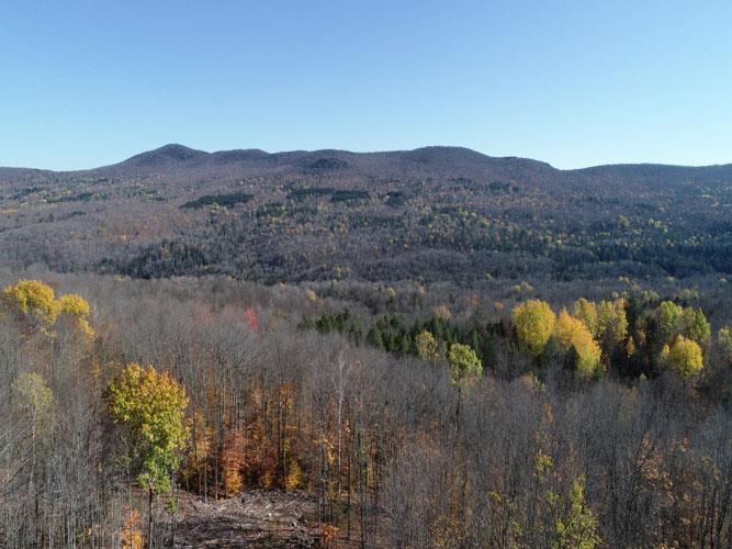 0 Tallman Road Wolcott, VT 05680 - Photo 1 of 21