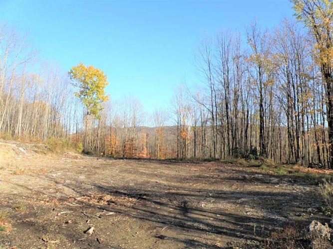 0 Tallman Road Wolcott, VT 05680 - Photo 18 of 21