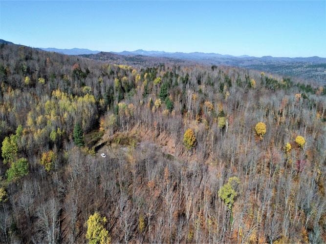 0 Tallman Road Wolcott, VT 05680 - Photo 6 of 21