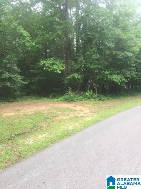 0 Mays Bend Road, Unit 26 Pell City, AL 35128 - Photo 14 of 16