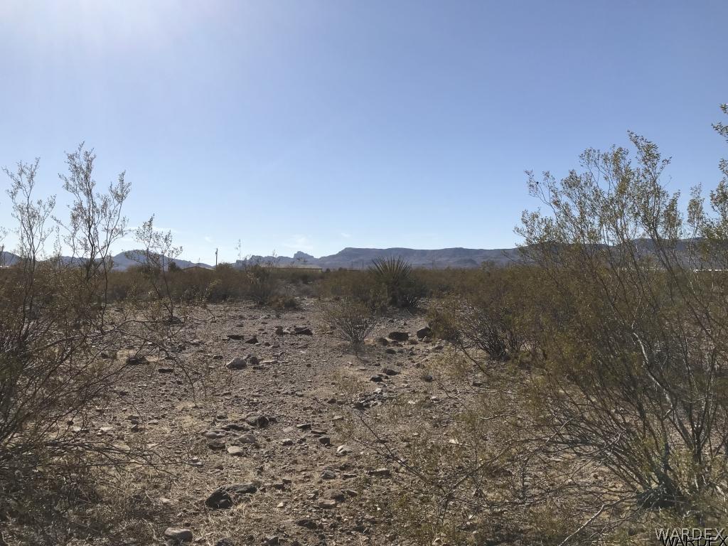 4606 Elgin Road Golden Valley, AZ 86413 - Photo 4 of 4 a view of a dry yard with mountains in the background