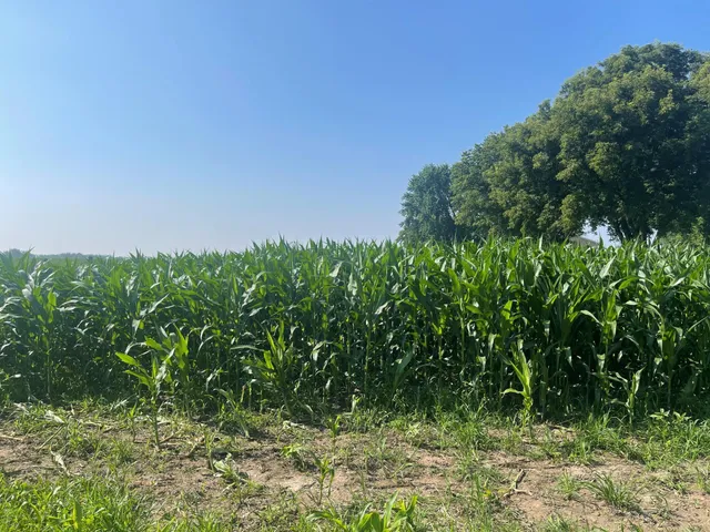 $475,500 | Xxx Xxx 590th, Bay City, WI 54723