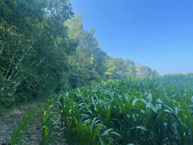 $475,500 | Xxx Xxx 590th, Bay City, WI 54723