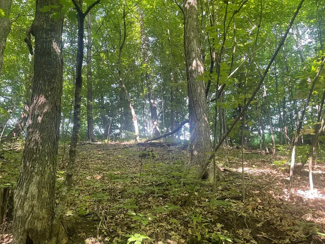 $475,500 | Xxx Xxx 590th, Bay City, WI 54723