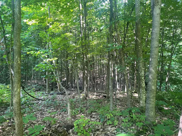 $475,500 | Xxx Xxx 590th, Bay City, WI 54723