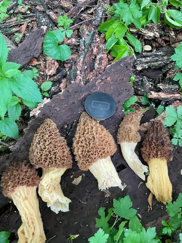 $475,500 | Xxx Xxx 590th, Bay City, WI 54723