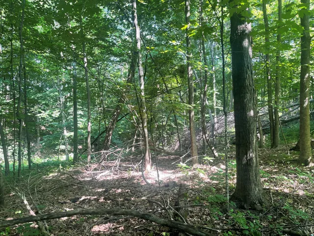 $475,500 | Xxx Xxx 590th, Bay City, WI 54723