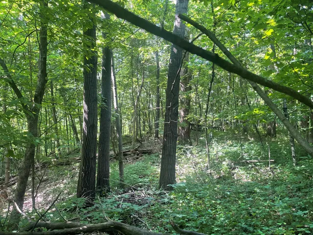 $475,500 | Xxx Xxx 590th, Bay City, WI 54723