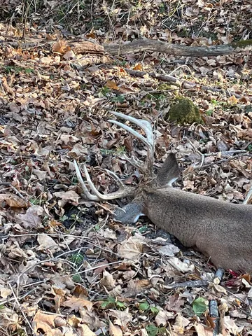 $475,500 | Xxx Xxx 590th, Bay City, WI 54723