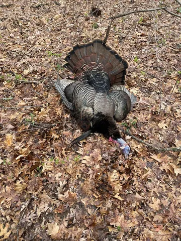 $475,500 | Xxx Xxx 590th, Bay City, WI 54723