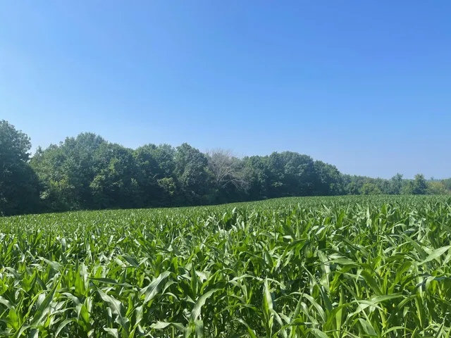 $475,500 | Xxx Xxx 590th, Bay City, WI 54723