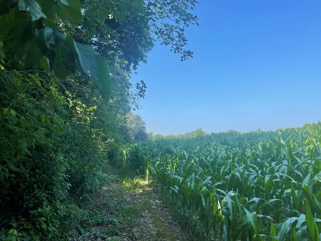 $475,500 | Xxx Xxx 590th, Bay City, WI 54723