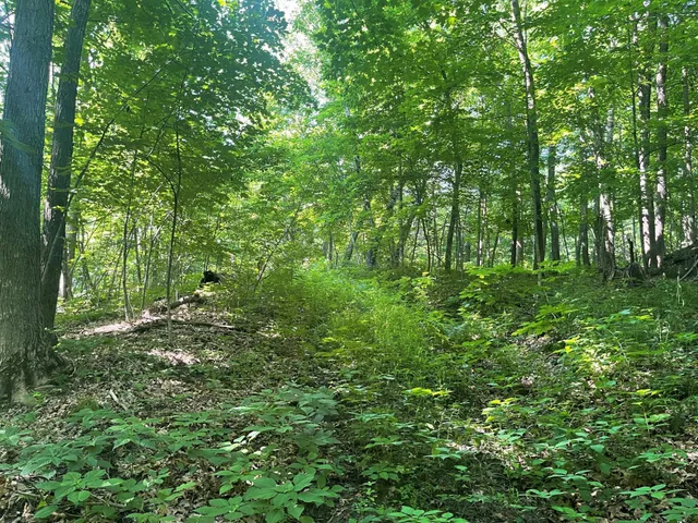 $475,500 | Xxx Xxx 590th, Bay City, WI 54723