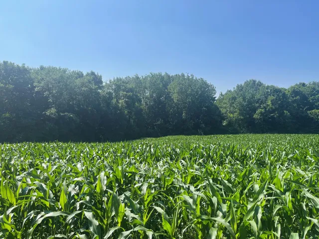 $475,500 | Xxx Xxx 590th, Bay City, WI 54723