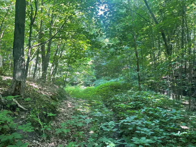 $475,500 | Xxx Xxx 590th, Bay City, WI 54723