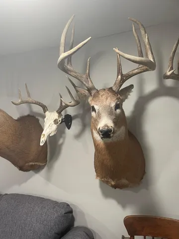 $475,500 | Xxx Xxx 590th, Bay City, WI 54723