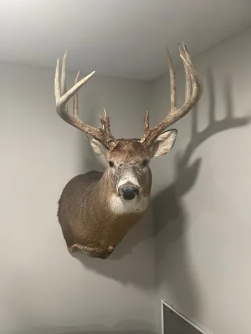 $475,500 | Xxx Xxx 590th, Bay City, WI 54723