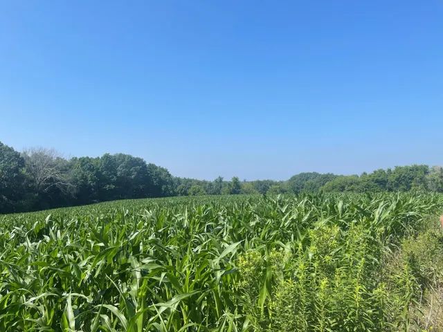 $475,500 | Xxx Xxx 590th, Bay City, WI 54723