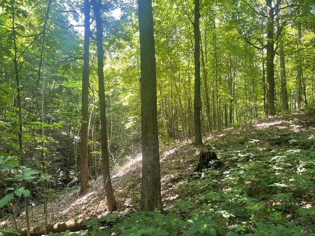 $475,500 | Xxx Xxx 590th, Bay City, WI 54723