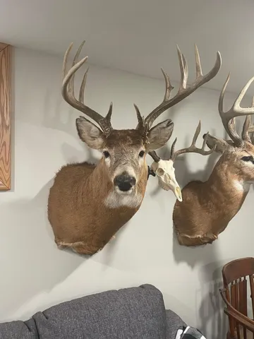 $475,500 | Xxx Xxx 590th, Bay City, WI 54723