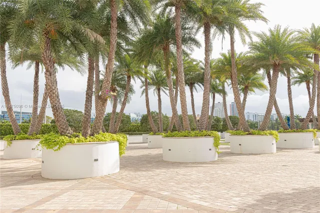 a view of a yard with palm trees