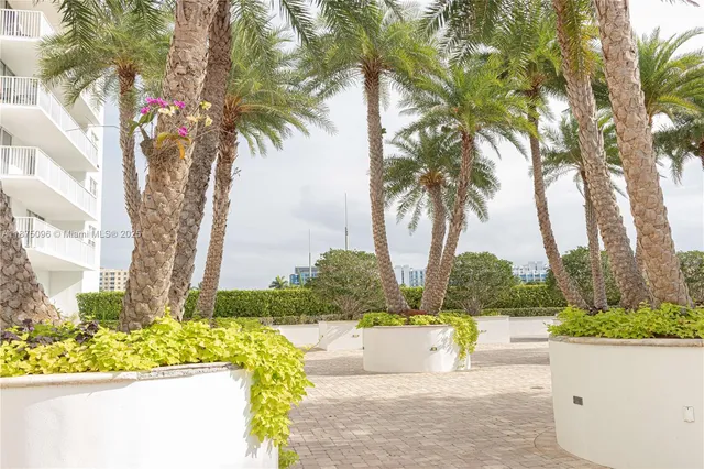 a view of a white house with a big yard plants and palm trees