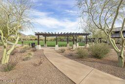 9265 East Canyon View Road Scottsdale, AZ 85255 - Photo 37 of 39 a view of a park with large trees