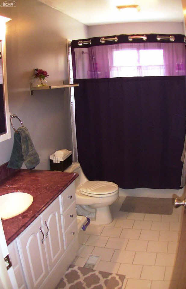 14153 Tuscola Road Clio, MI 48420 - Photo 10 of 31 21274493-9.JPG
