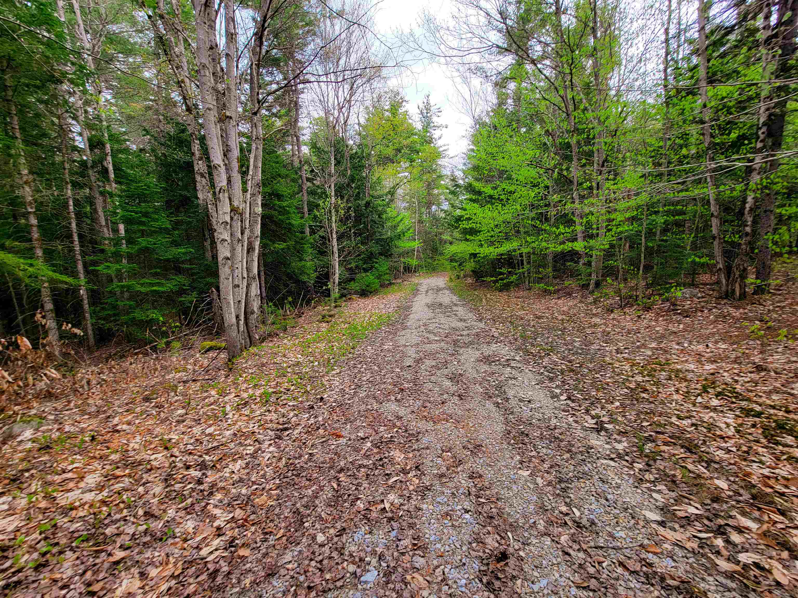 1124 Chapel Hill Road Whitingham, VT 05361 - Photo 23 of 31