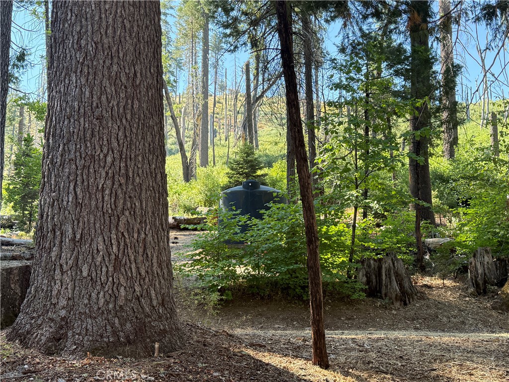 3502 Comet Mine Mariposa, CA 95338 - Photo 10 of 47 a view of a backyard