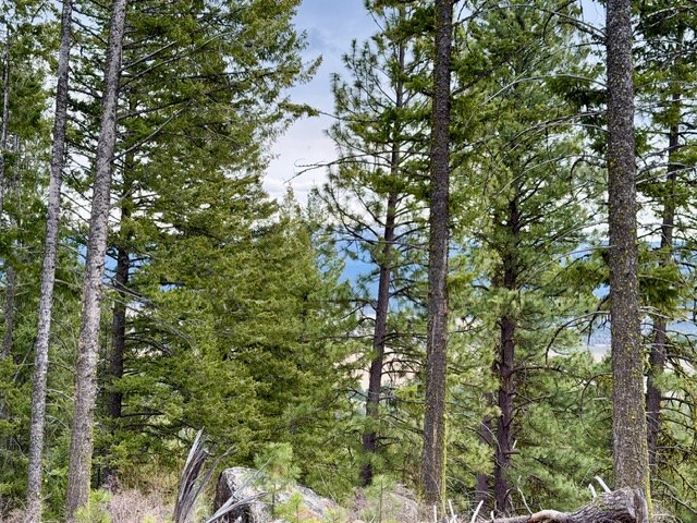 468 Hilltop Road, Unit 60 Cascade, ID 83611 - Photo 12 of 15