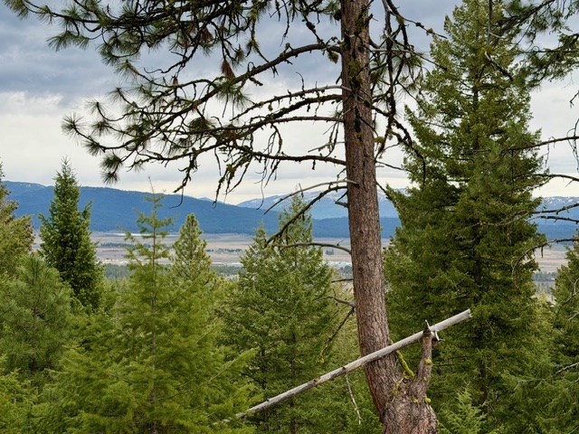 468 Hilltop Road, Unit 60 Cascade, ID 83611 - Photo 13 of 15