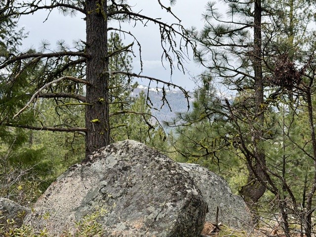 468 Hilltop Road, Unit 60 Cascade, ID 83611 - Photo 14 of 15