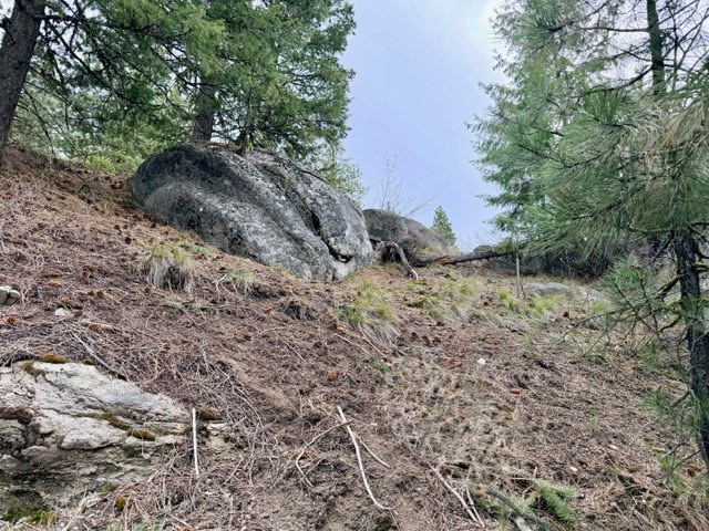 468 Hilltop Road, Unit 60 Cascade, ID 83611 - Photo 2 of 15