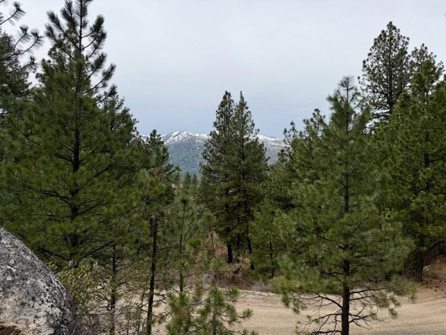 468 Hilltop Road, Unit 60 Cascade, ID 83611 - Photo 4 of 15