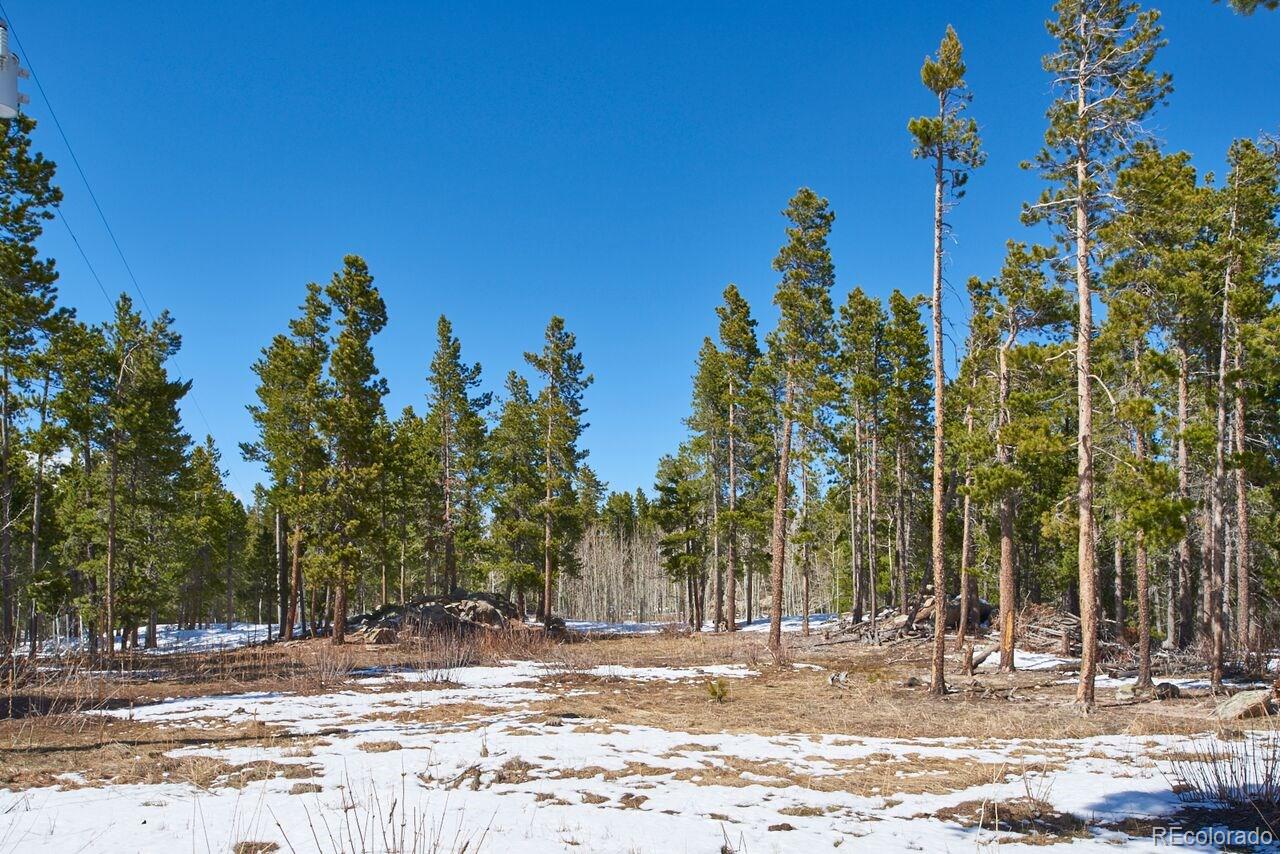 828 La Chula Road Black Hawk, CO 80422 - Photo 16 of 35 Gallery Image 16