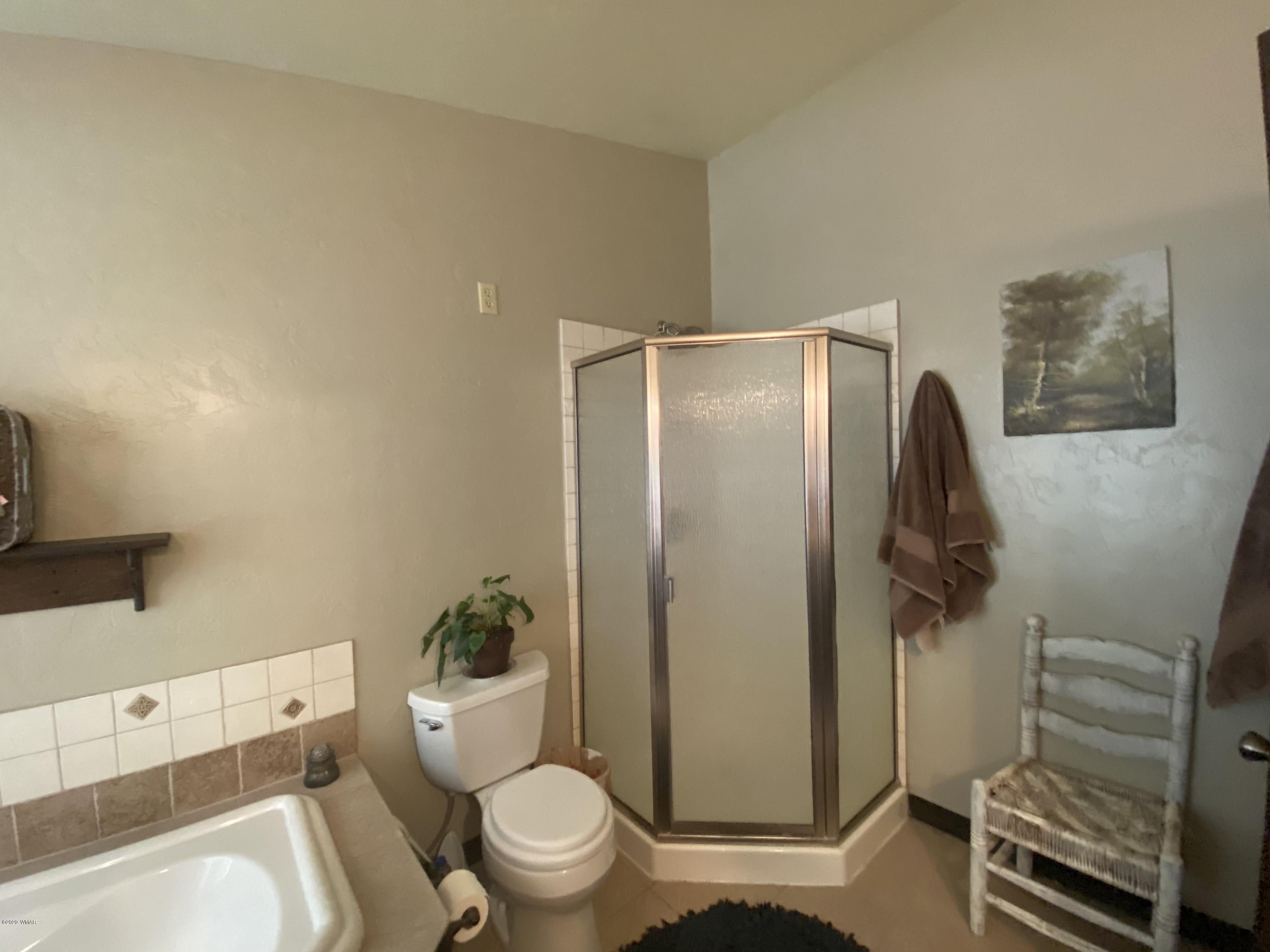 1 Cr 4075 Drive Springerville, AZ 85938 - Photo 22 of 46