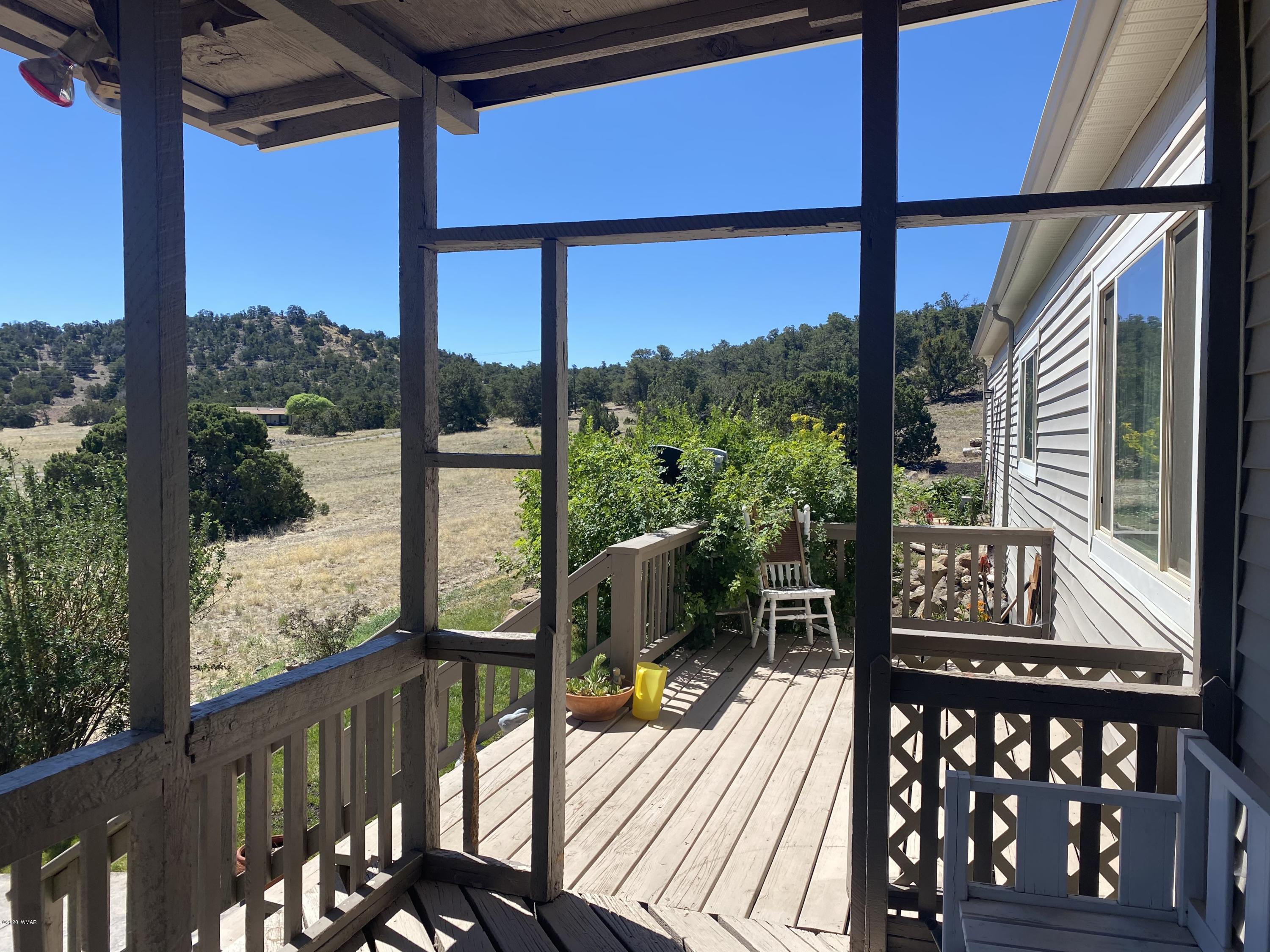 1 Cr 4075 Drive Springerville, AZ 85938 - Photo 4 of 46