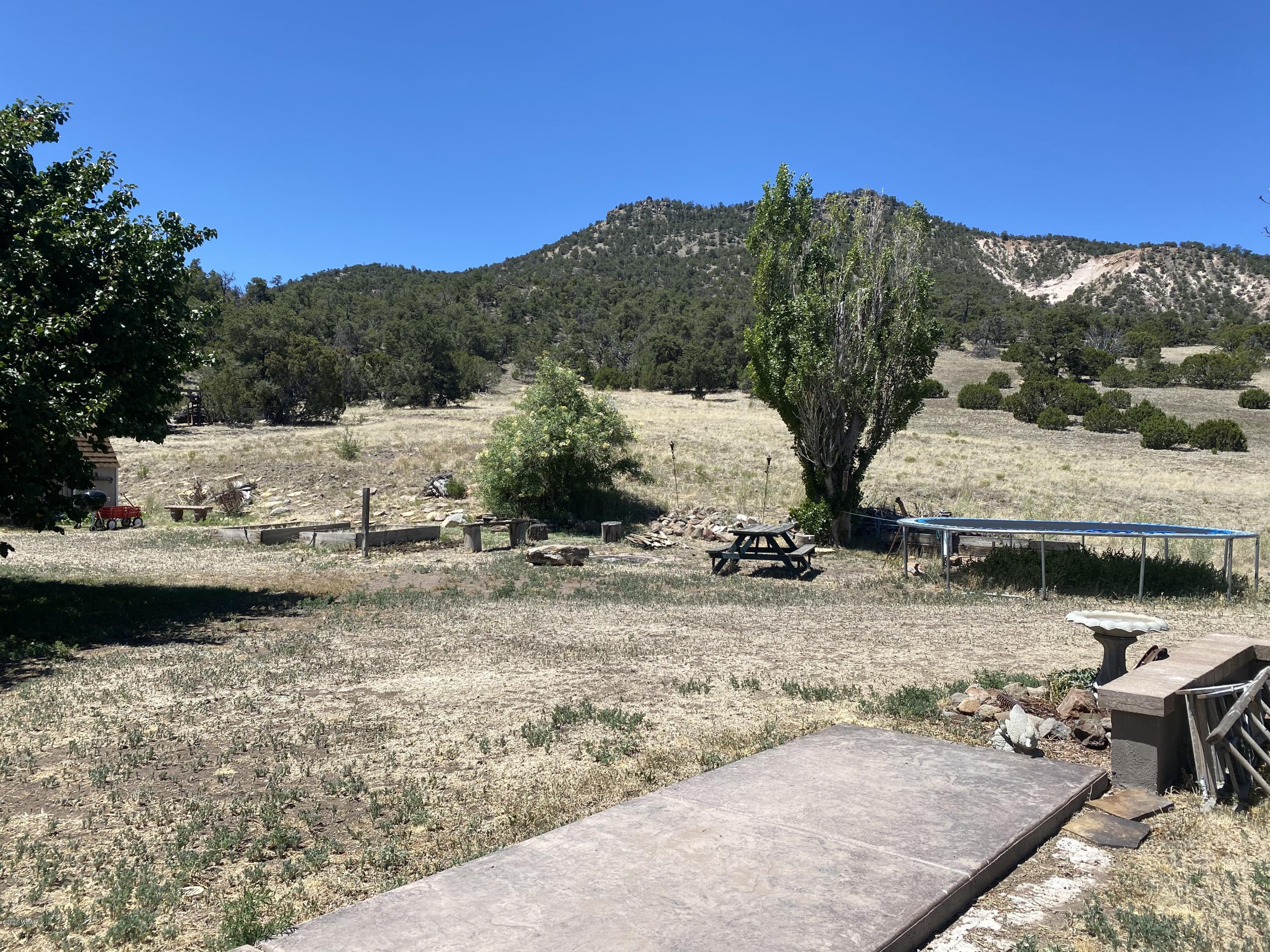 1 Cr 4075 Drive Springerville, AZ 85938 - Photo 41 of 46
