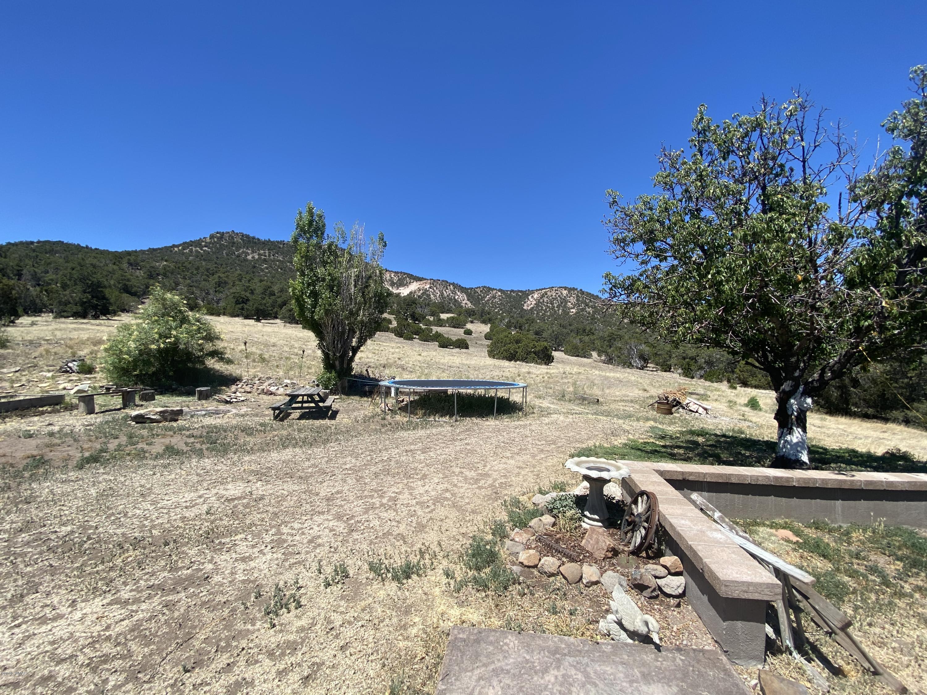 1 Cr 4075 Drive Springerville, AZ 85938 - Photo 42 of 46