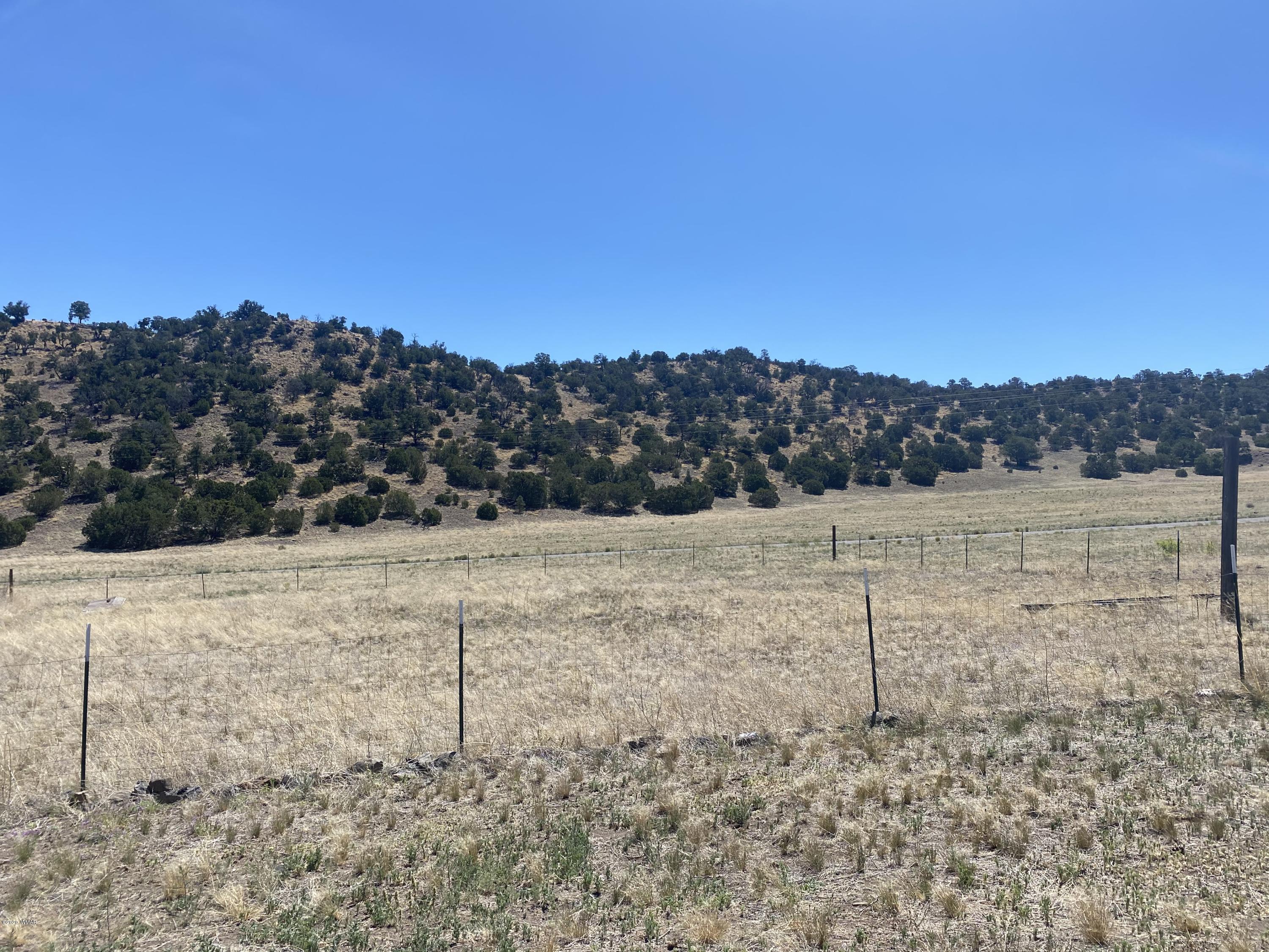 1 Cr 4075 Drive Springerville, AZ 85938 - Photo 44 of 46