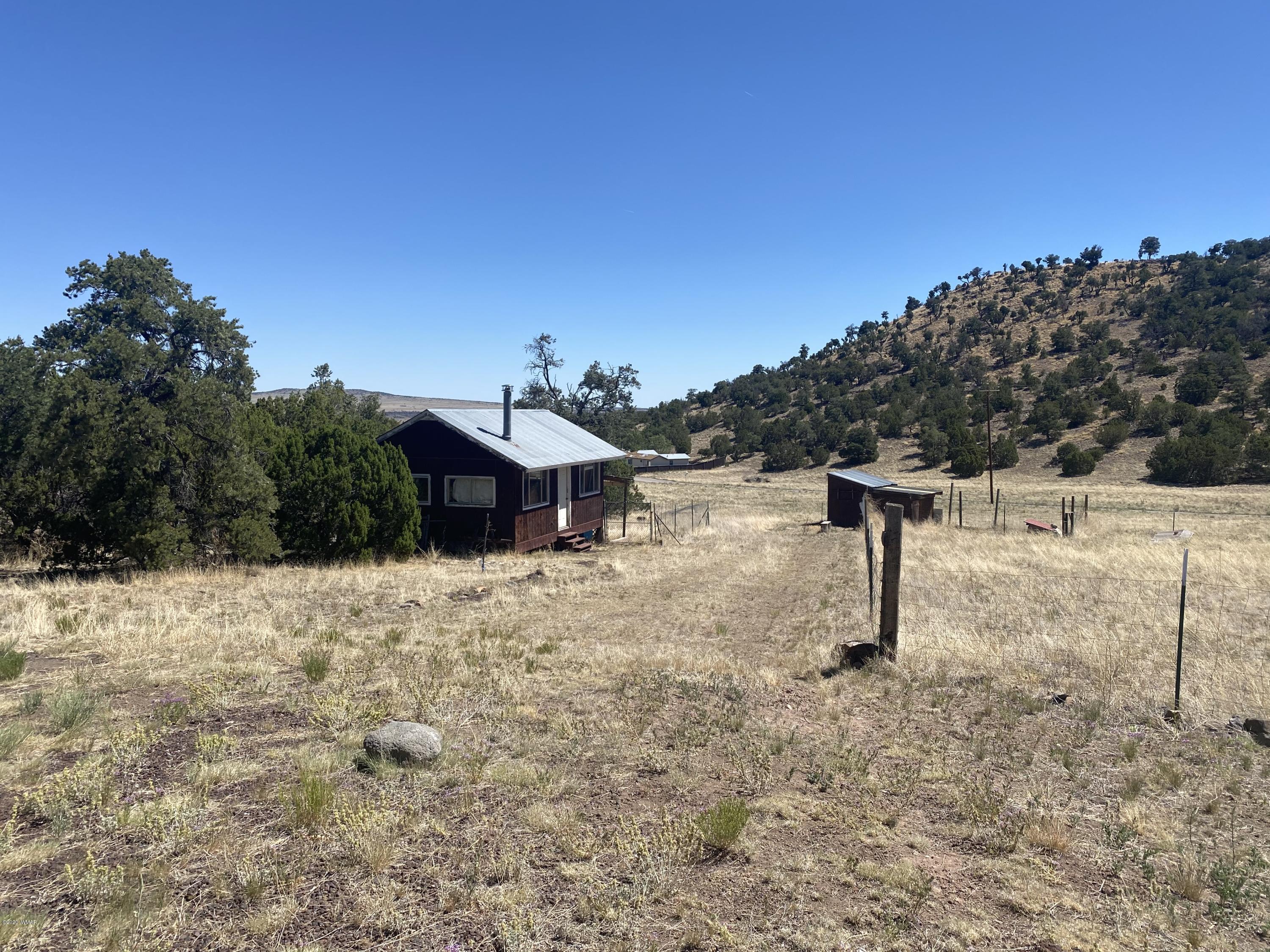 1 Cr 4075 Drive Springerville, AZ 85938 - Photo 45 of 46