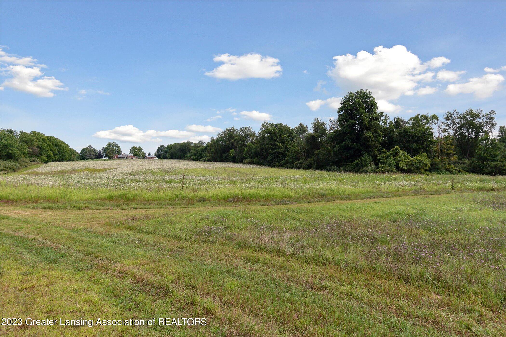 10530 Mt Hope Road Carson City, MI 48811 - Photo 6 of 79 61-10530-S-Mt-Hope-Rd-Carson-City-MI-488