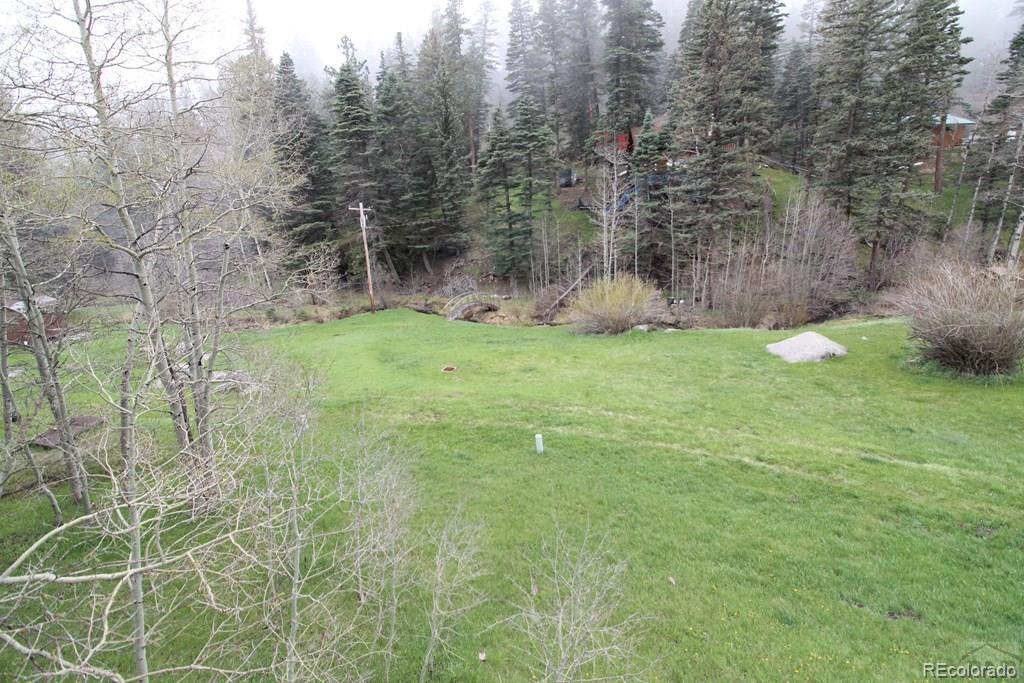 148 County Road 378, Unit 378 Rye, CO 81069 - Photo 18 of 35 a view of a yard with a trees