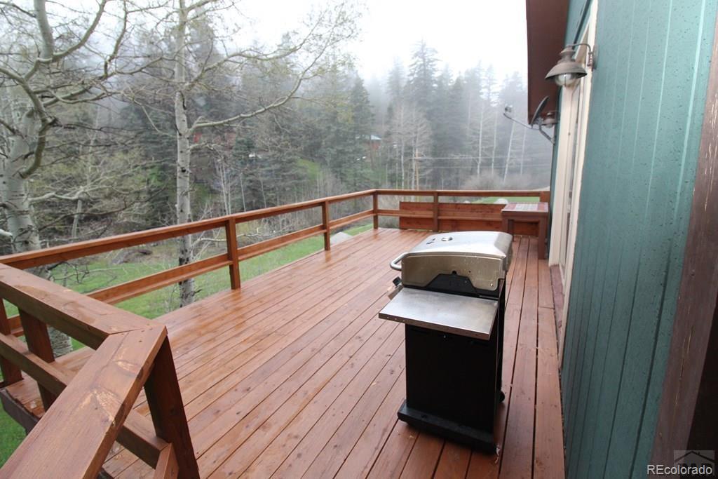 148 County Road 378, Unit 378 Rye, CO 81069 - Photo 19 of 35 a view of balcony with furniture and wooden floor