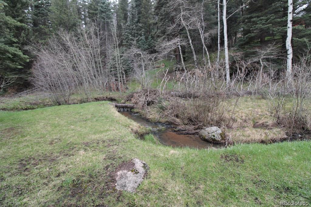148 County Road 378, Unit 378 Rye, CO 81069 - Photo 20 of 35 a backyard of a house with lots of green space