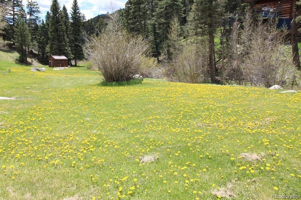 148 County Road 378, Unit 378 Rye, CO 81069 - Photo 23 of 35 a view of swimming pool with an outdoor space