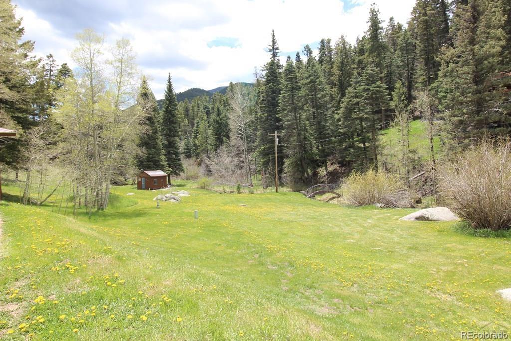 148 County Road 378, Unit 378 Rye, CO 81069 - Photo 25 of 35 a view of a yard with swimming pool and trees