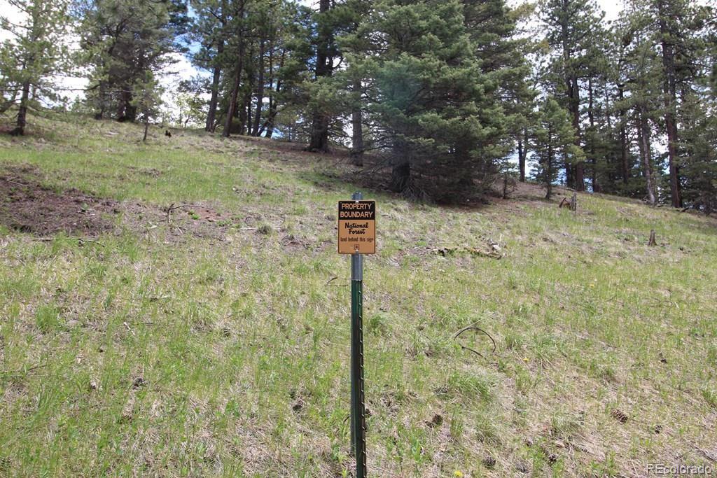 148 County Road 378, Unit 378 Rye, CO 81069 - Photo 30 of 35 a backyard of a house with lots of green space